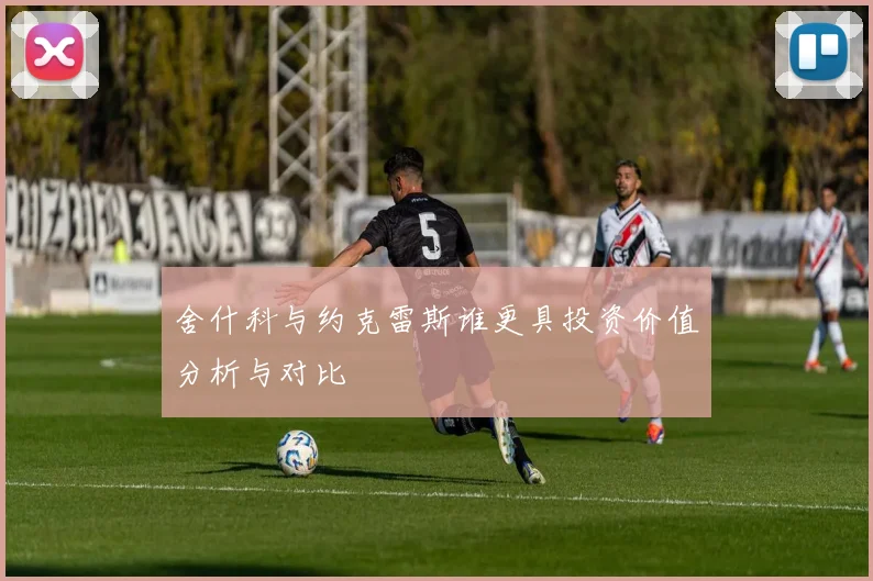 舍什科与约克雷斯谁更具投资价值分析与对比
