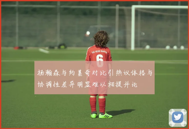 杨瀚森与约基奇对比引热议体格与协调性差异明显难以相提并论
